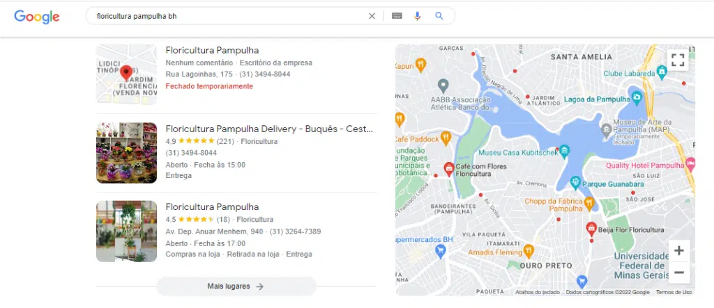 segmentação geográfica do google ads na serp