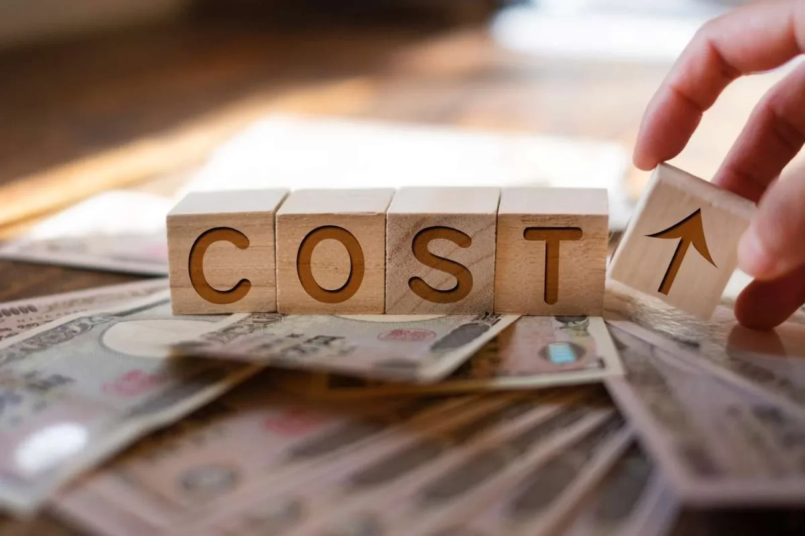 Campaign Yard Signs Cost: Factors That Shape Pricing & Budget Impact